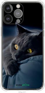 Чохол на iPhone 13 Pro Max Димчастий кіт "825sp-2371-2448"