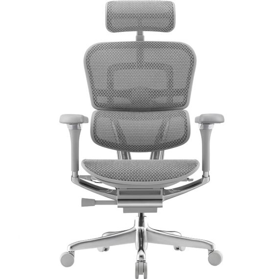Кресло компьютерное ERGOHUMAN LUXURY 2 Gray (EHE2-AG-HAM-5D-L) | Зображення 1