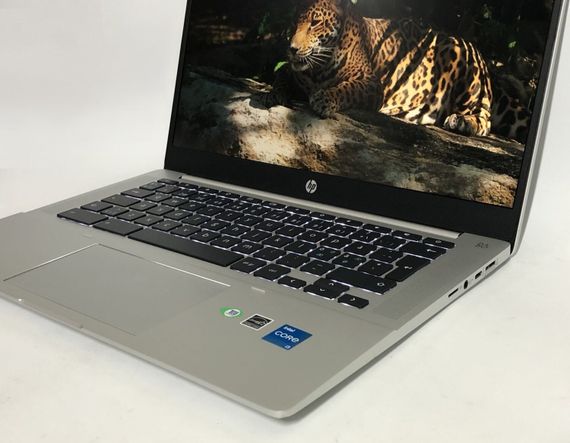 Ультрабук HP Pro c640 G2 Chromebook / 14" (1920x1080) IPS / Intel Core i3-1115G4 (2 (4) ядра по 2.2 - 4.1 GHz) / 8 GB DDR4 / 256 GB SSD / Intel UHD Graphics / WebCam / ChromeOS б/в + Подарунок Флеш-накопичувач Kingston DataTraveler Exodia S 64 ГБ | Зображення 8