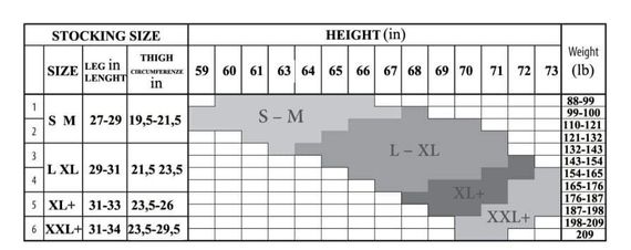 Панчохи в крапці і з візерунком Ballerina's Secret 317 чорні, 20 den, S/M sexstyle | Зображення 3