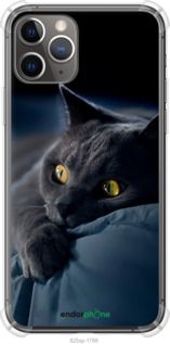 Чохол на iPhone 11 Pro Димчастий кіт "825sp-1788-2448"