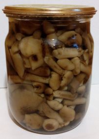 Опеньки гриби / Підпеньки / Підопеньки, 0,5 літри