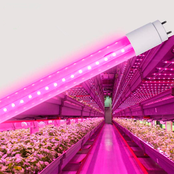 LED FITO лампа VIDEX T8F 9W 0.6M | Зображення 3