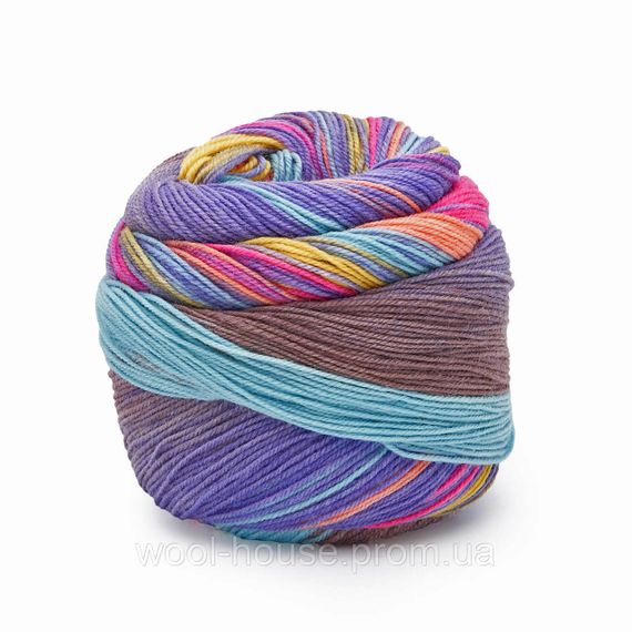 Шкарпеткова пряжа Laines du Nord Infinity Sock, 10 | Зображення 1