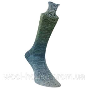 Шкарпеткова пряжа Laines du Nord Watercolor Sock, 101