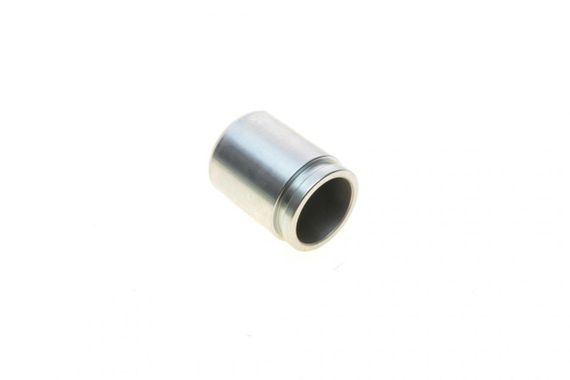 Поршенек суппорта заднего Lexus GS 06-11 38x48mm  Advi  P384806 | Зображення 1