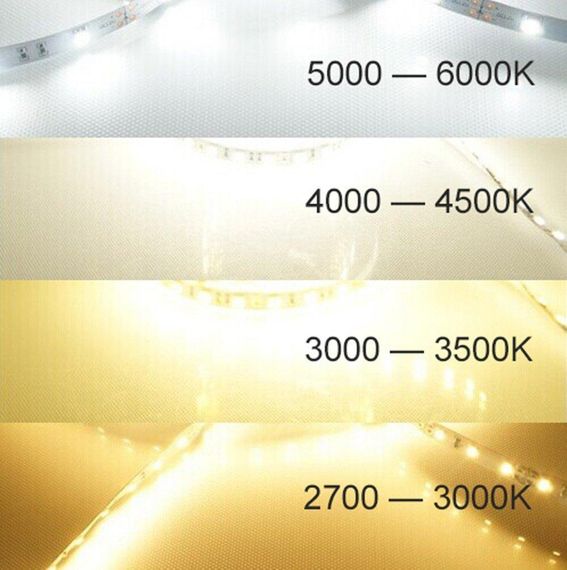 Світлодіодна LED стрічка PROLUM 12V 2835\120 IP20 Series "SG" Білий (5500-6000К) | Зображення 5
