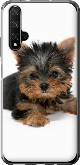 Чехол на Huawei Nova 5T Щенок йоркширского терьера "931u-1833-17620"