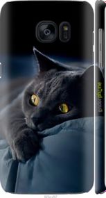 Чохол на Samsung Galaxy S7 Edge G935F Димчастий кіт "825m-257-2448"