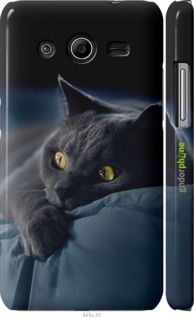 Чохол на Samsung Galaxy Core 2 G355 Димчастий кіт "825m-75-2448"