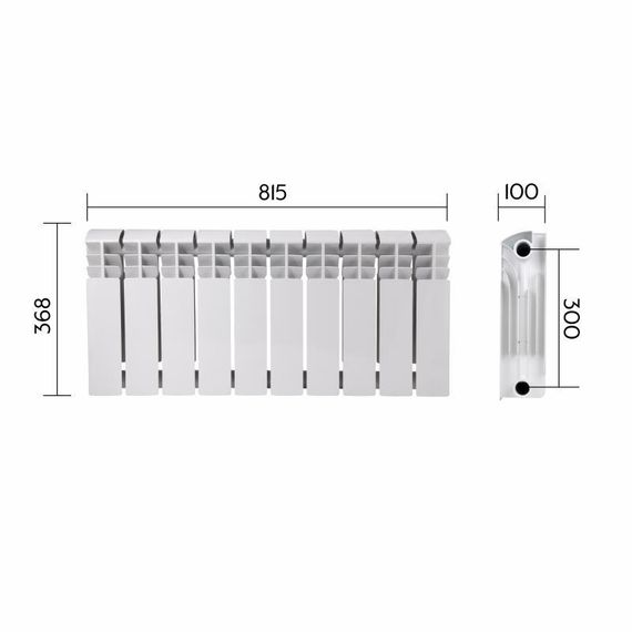 Радіатор біметалевий Thermo Alliance Bi-Ferrum 300/100 1,15 кг | Зображення 1