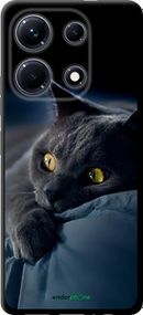Чохол на Infinix Note 30 Димчастий кіт "825b-3138-2448"