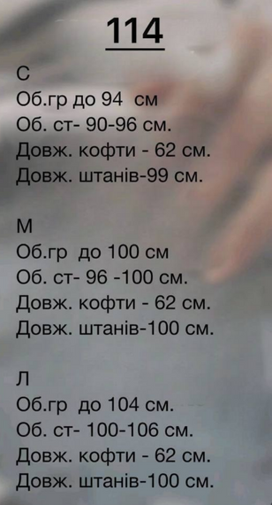 Жіночий спортивний костюм велюровий з кофтою на блискавці розмір S колір марсала Vi114 | Зображення 5
