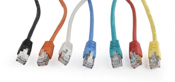 Патч корд Cablexpert PP22-0.25M, FTP, литий,  50u" штекер із фіксатором, 0.25 м, сірий | Зображення 2