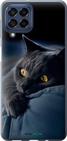 Чохол на Samsung Galaxy M53 M536B Димчастий кіт "825u-2608-2448"