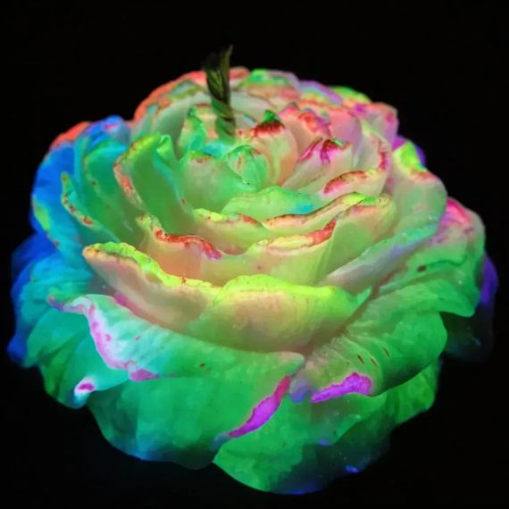 Свеча Пион низкотемпературная люминесцентная GlowKink разноцветная, VIP-концентрация, 91 г Sex Aura