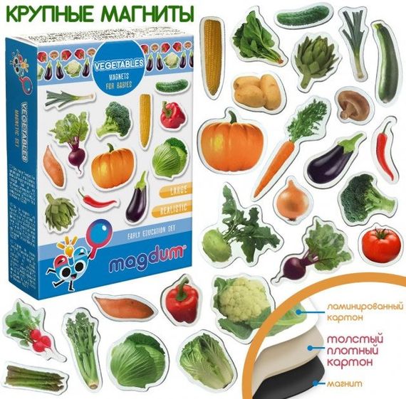 Набор магнитов Magdum "Овощи" ML4031-12 EN | Зображення 2