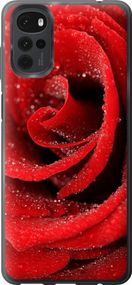 Чехол на Motorola G22 Красная роза "529u-2681-17620"