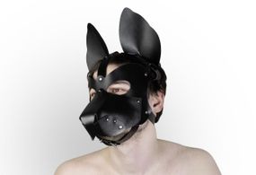 Шкіряна маска собаки 2в1 Feral Feelings, знімна морда Sex Aura