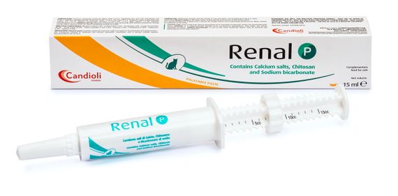 Вітаміни при захворюваннях нирок у собак та котів Candioli Renal P, 15 мл