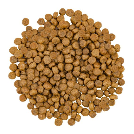 Корм сухий Savory Adult Cat Gourmand Fresh Salmon and White Fish для довгошерстих котів зі свіжим лососем і білою рибою 2 кг | Зображення 1