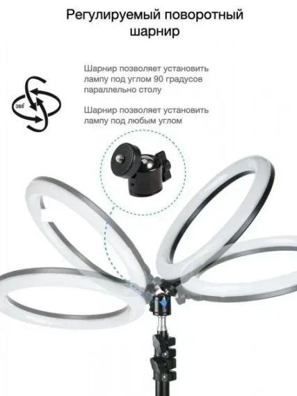 Кільцева LED лампа YQ-320B (30см) з утримувачем телефону для бьюті селфі зйомки Ring Light | Зображення 3