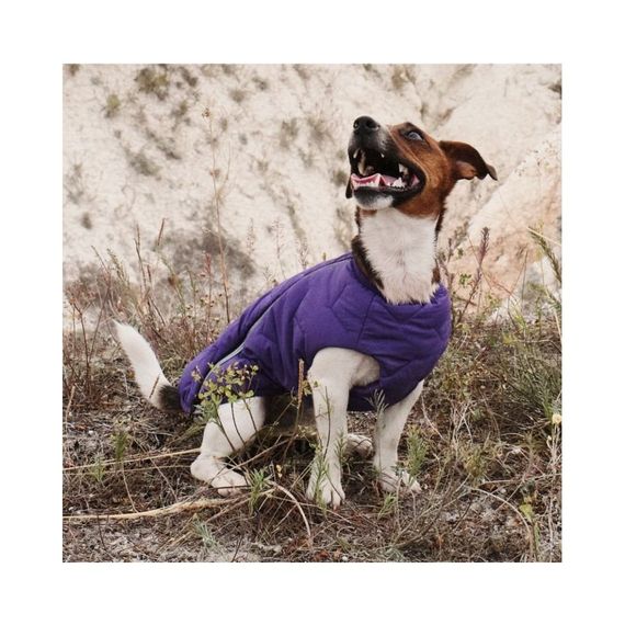 Жилет Pet Fashion E.Vest для собак фіолетовий М2 | Зображення 3