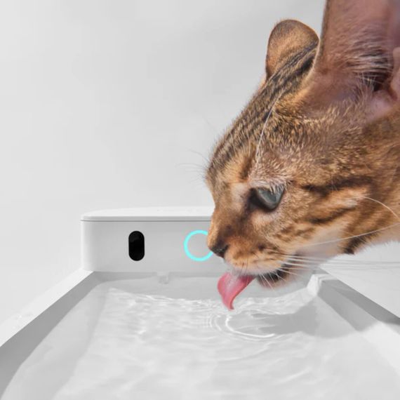Смарт-поилка для котов и собак Catlink Ai Water Fountain - Wired, 2.3 л | Зображення 1