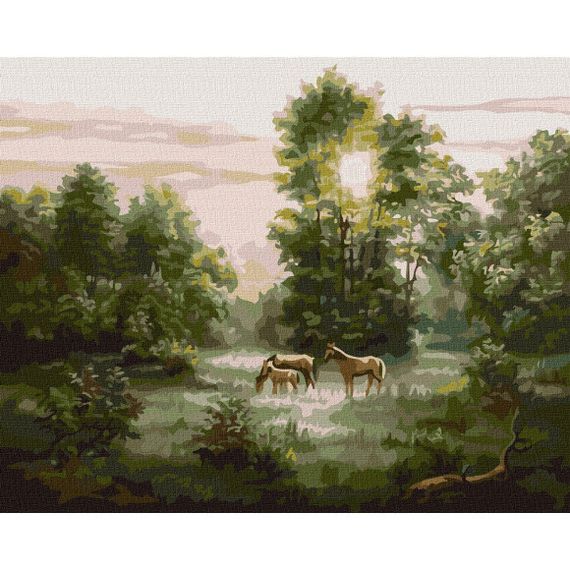 Картина за номерами "Розсвіт" KHO4362 40х50