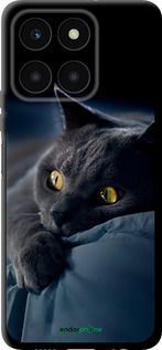 Чохол на Huawei honor X6A Димчастий кіт "825b-3340-2448"