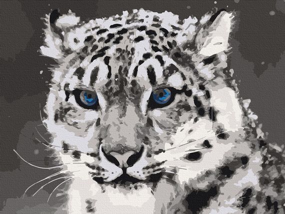 Картина за номерами. Art Craft "Синьоокий ірбіс" 40 * 50 см 11609-AC