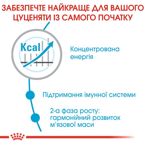 Сухий корм Royal Canin Giant Junior для цуценят гігантських порід старше 8 місяців 15 кг | Зображення 2