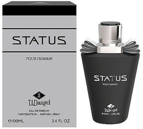 Парфумована вода TAD Angel Status чоловіча 100 мл