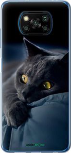 Чохол на Xiaomi Poco X3 Димчастий кіт "825t-2073-2448"