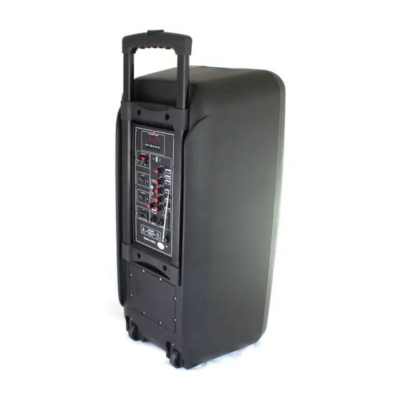 Портативна колонка Su-Kam 1010 + 2 мікрофони + BT 12v220v | Зображення 3