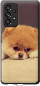 Чехол на Samsung Galaxy A53 A536E Boo 2 "890u-2585-17620"