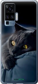 Чохол на Vivo X50 Pro Димчастий кіт "825u-1956-2448"