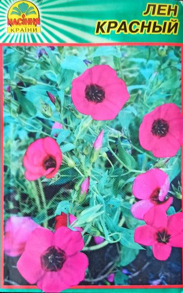Насіння квітів Льон червоний ( Насіння країни ) 1 г | Зображення 2