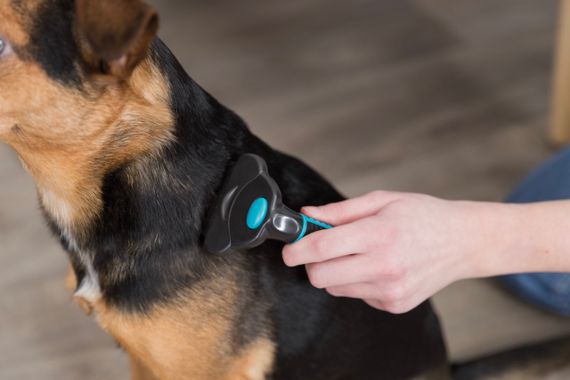 Дешеддер для собак та котів Trixie, 7 см | Зображення 7