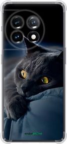 Чохол на OnePlus 11 Димчастий кіт "825sp-2940-2448"