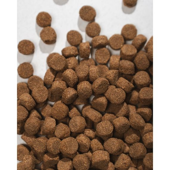 Корм сухий HalfHalf для дорослих собак середніх порід із яловичиною 2 кг | Зображення 4