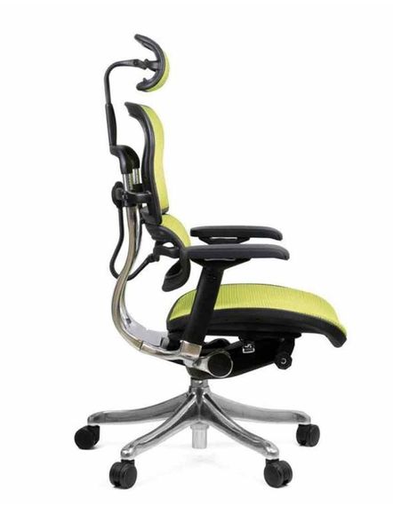 Кресло компьютерное ERGOHUMAN Plus Green | Зображення 1