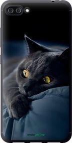 Чохол на Asus ZenFone 4 Max ZC554KL Димчастий кіт "825u-1035-2448"