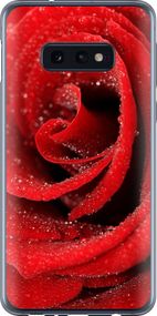 Чехол на Samsung Galaxy S10e Красная роза "529u-1646-17620"