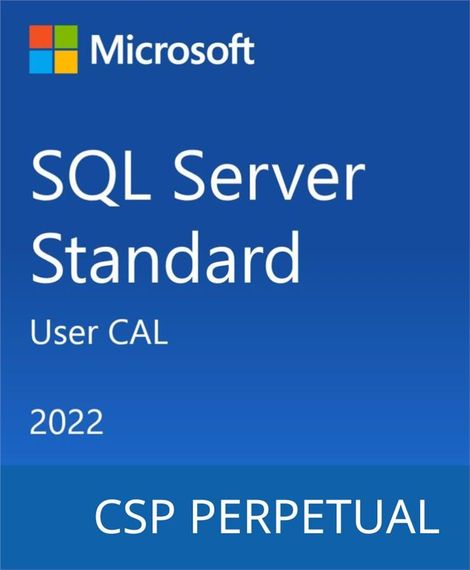 Програмне забезпечення Microsoft SQL Server 2022 - 1 User CAL (DG7GMGF0MF3T-0002)