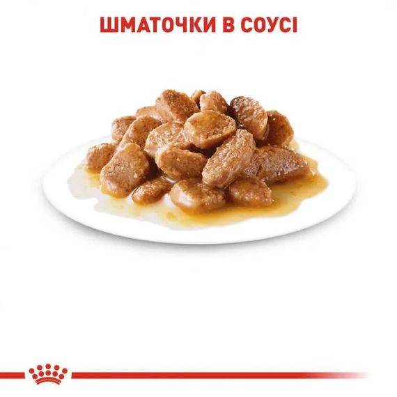 Корм Royal Canin Puppy X-Small влажный для щенят мелких пород 85 гр | Зображення 1