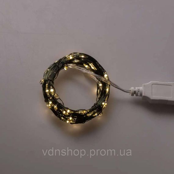 Гирлянда роса 10 метров USB на 100 led светодиодов капля на зеленой проволоке USB100L10MGY | Зображення 7