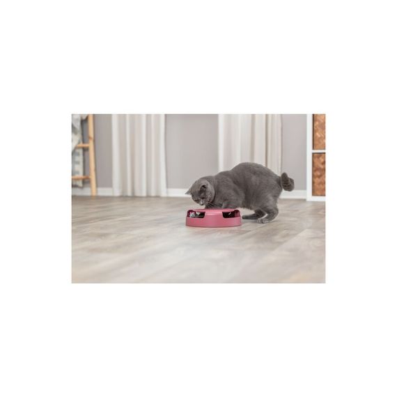 Іграшка Trixie Catch The Mouse для котів Трек ігровий з плюшевою мишкою пластик 25х6 см | Зображення 2
