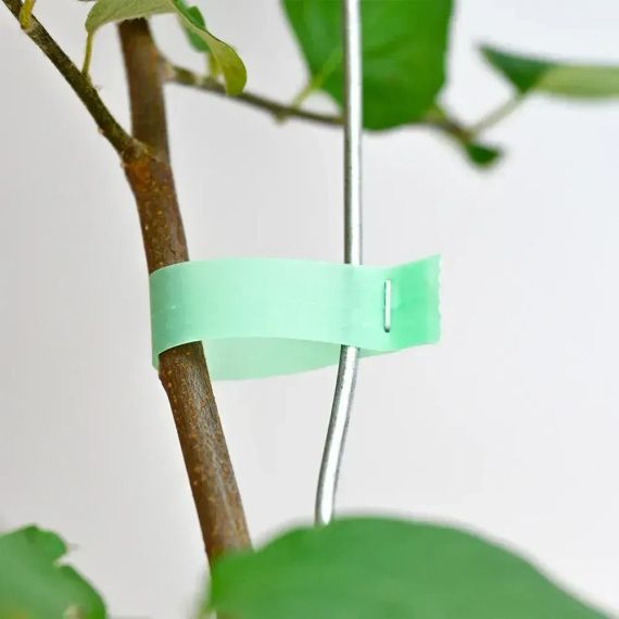 Скоби для садового підв'язувального степлера 10000 шт, 6х4 мм, 604С / Упаковка скоб для тапенера | Зображення 4