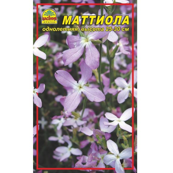 Насіння Матіола нічна фіалка 0,5 г